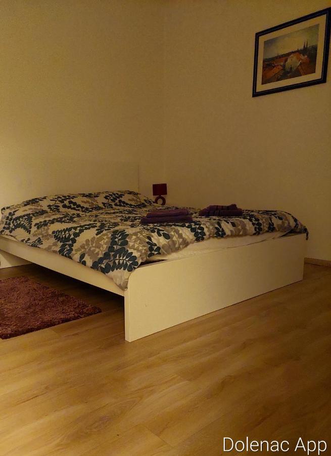 Apartament Studio Apartman Dolenac Zagrzeb Zewnętrze zdjęcie