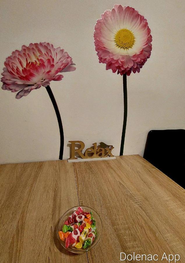 Apartament Studio Apartman Dolenac Zagrzeb Zewnętrze zdjęcie